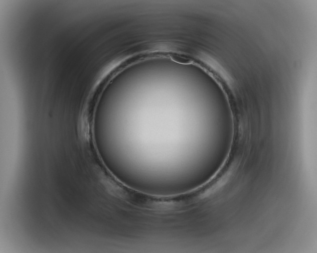 X0000115540925200911061457