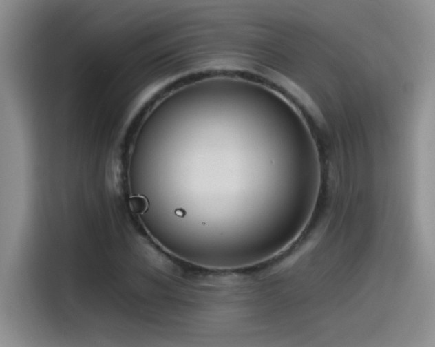 X0000115540926200911061457