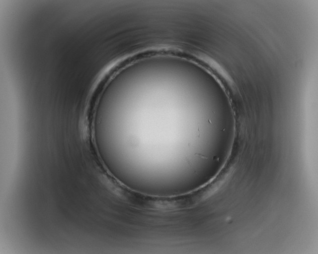 X0000115540927200911061457