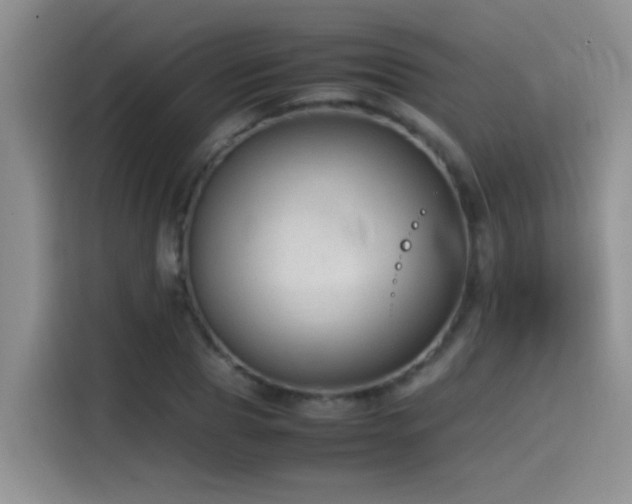 X0000115540929200911061457