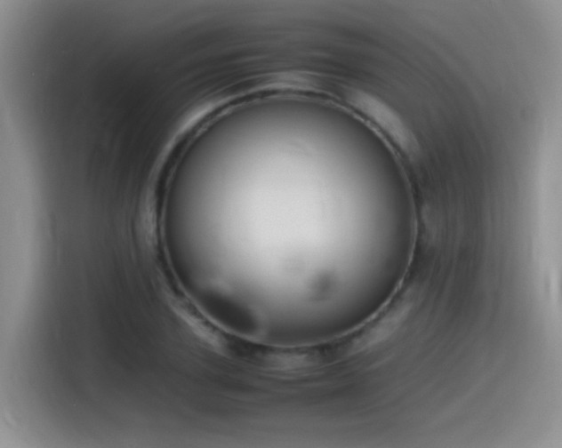 X0000115540931200911061457