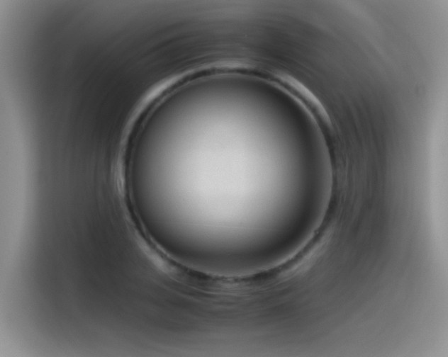 X0000115540935200911061457