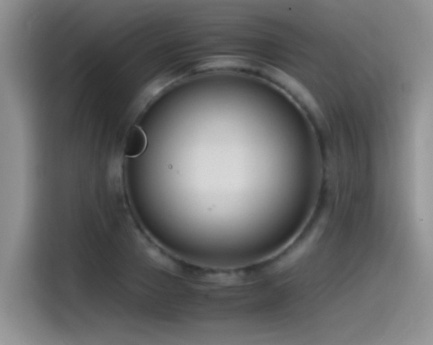 X0000115540937200911061457