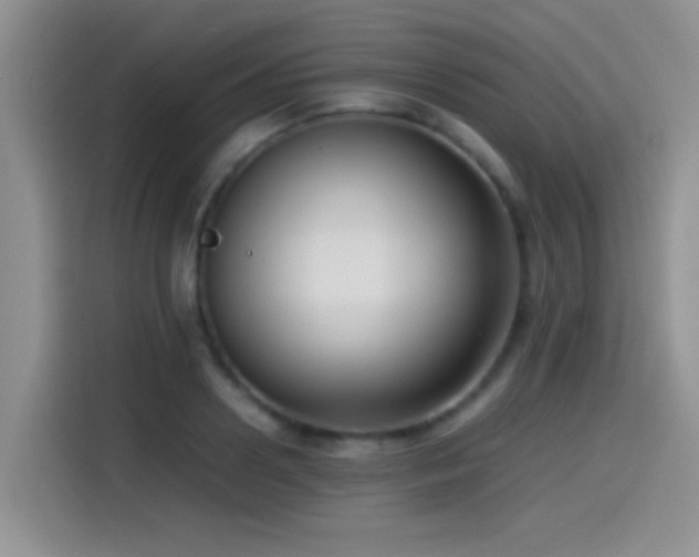 X0000115540938200911061457