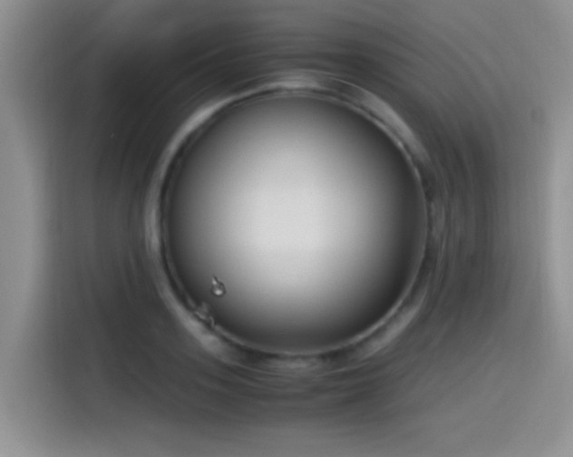 X0000115540939200911061457