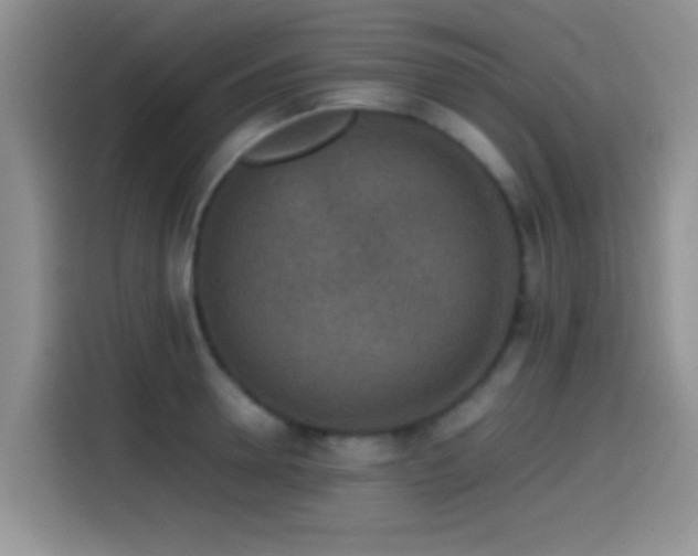 X0000115540946200911061457