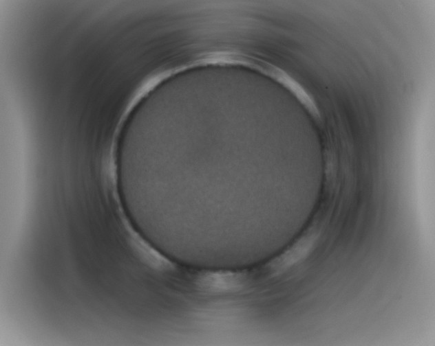 X0000115540950200911061457