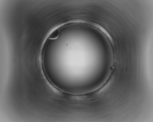 X0000115540951200911061457