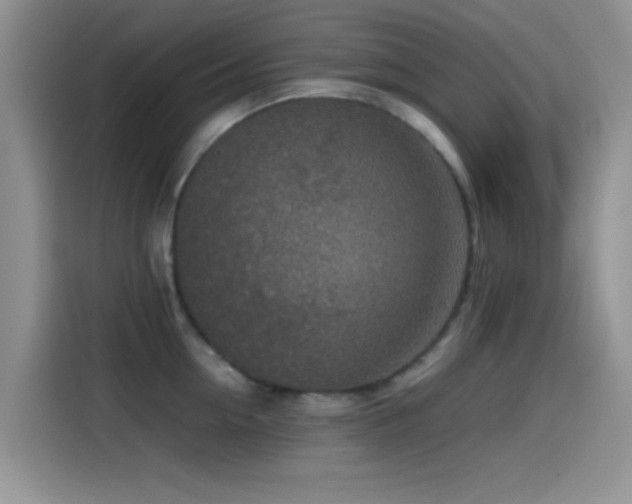 X0000115540954200911061457