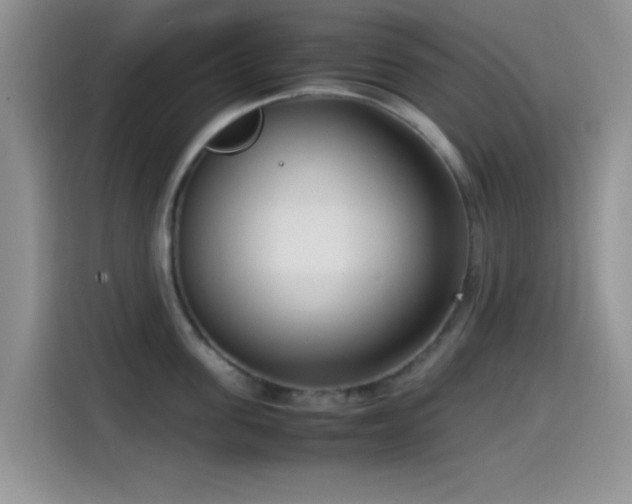 X0000115540955200911061457