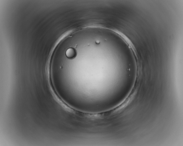 X0000115540957200911061457