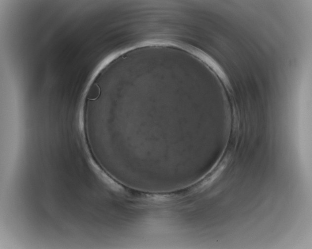 X0000115540958200911061457