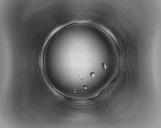 X0000115540959200911061457