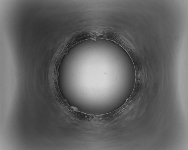 X0000115540961200911061457