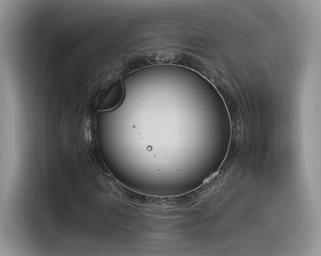 X0000115540962200911061457