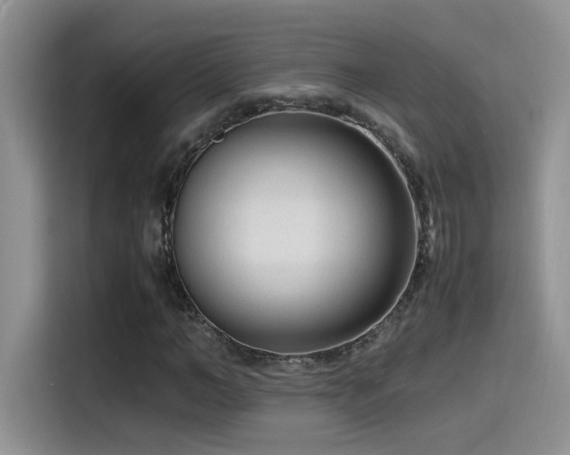 X0000115540966200911061457