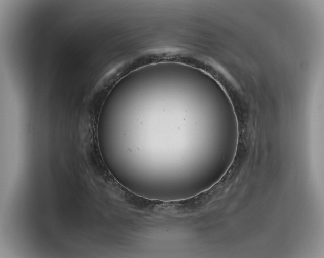 X0000115540967200911061457