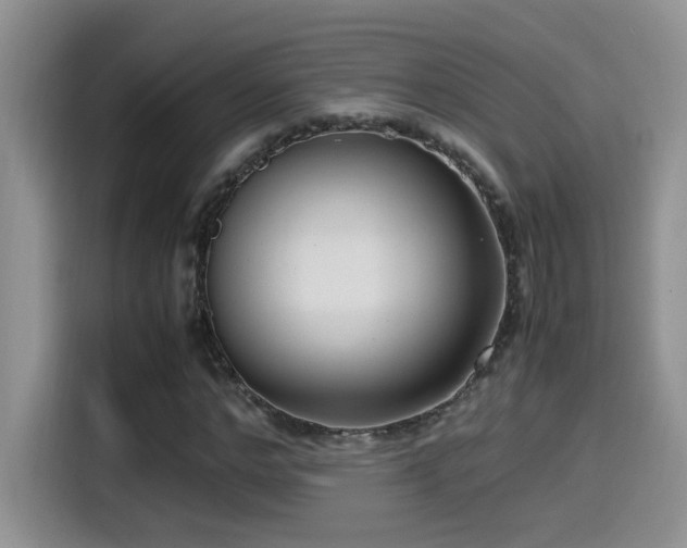 X0000115540968200911061457