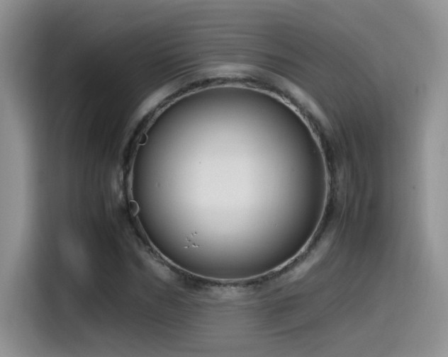 X0000115540970200911061457