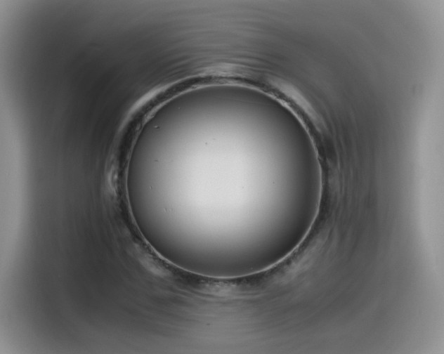 X0000115540971200911061457