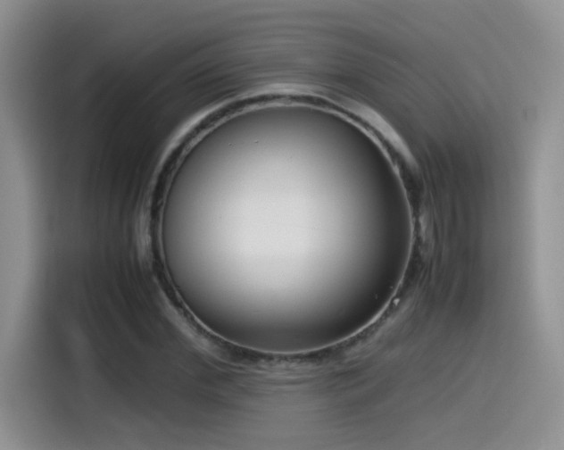 X0000115540972200911061457