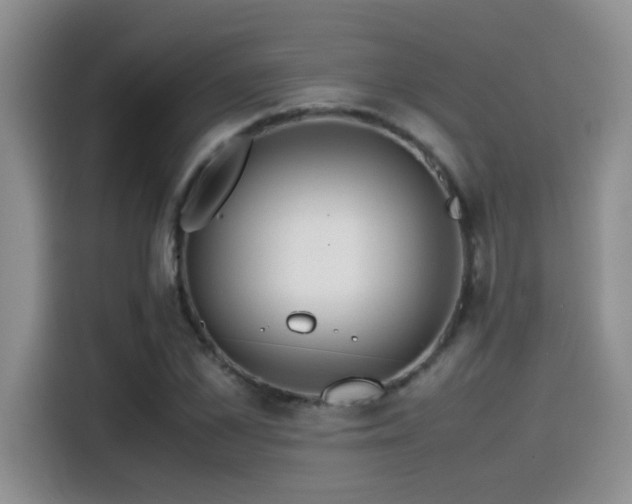 X0000115540973200911061457