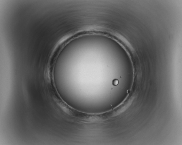 X0000115540974200911061457