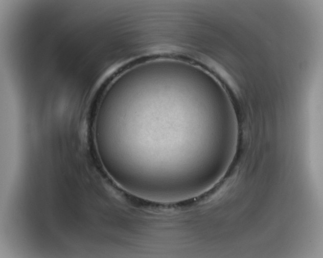 X0000115540975200911061457