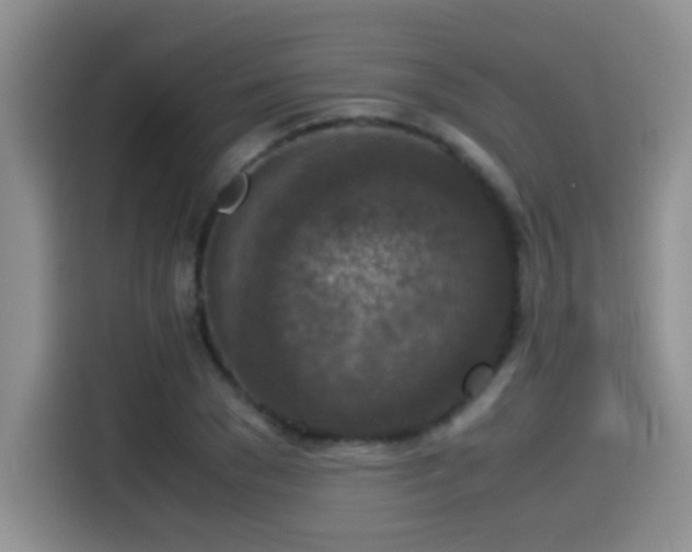 X0000115540977200911061457