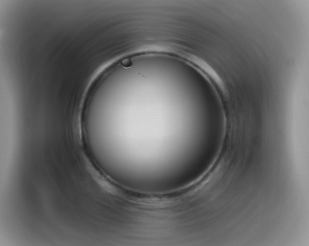 X0000115540980200911061457