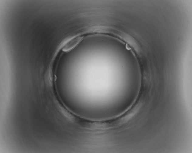 X0000115540981200911061457