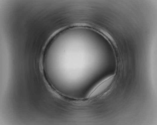 X0000115540984200911061457