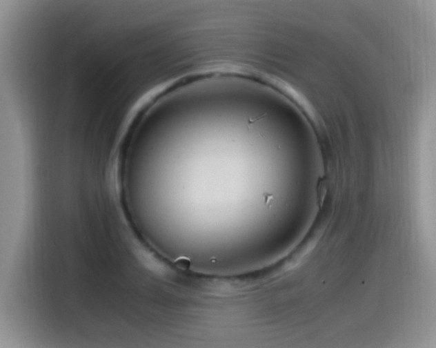 X0000115540987200911061457