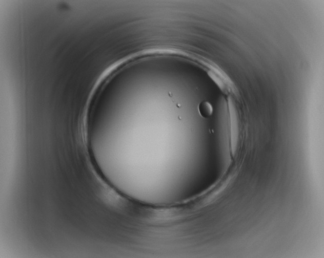 X0000115540988200911061456