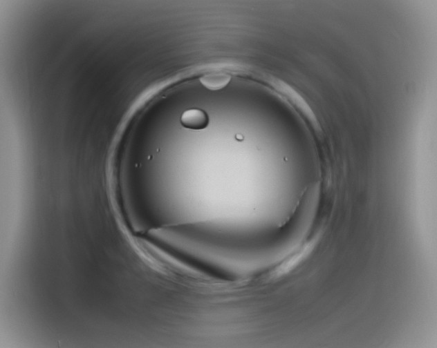 X0000115540989200911061456