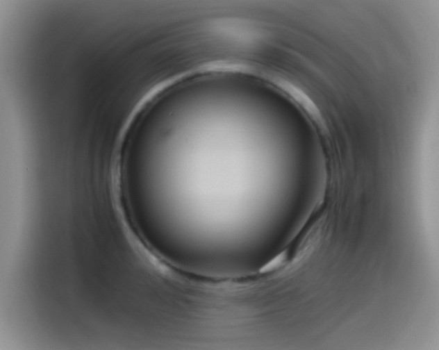 X0000115540992200911061456