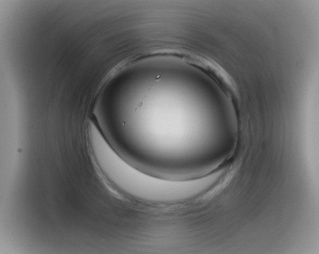 X0000115540993200911061456