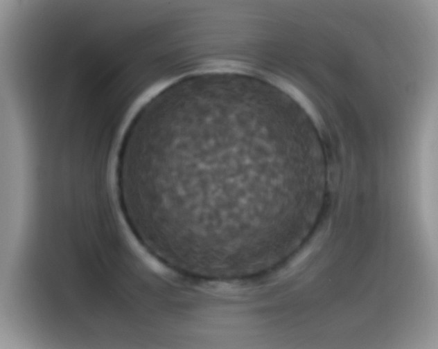 X0000115540995200911061456