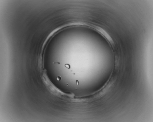 X0000115540996200911061456