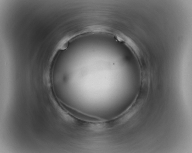 X0000115540997200911061456