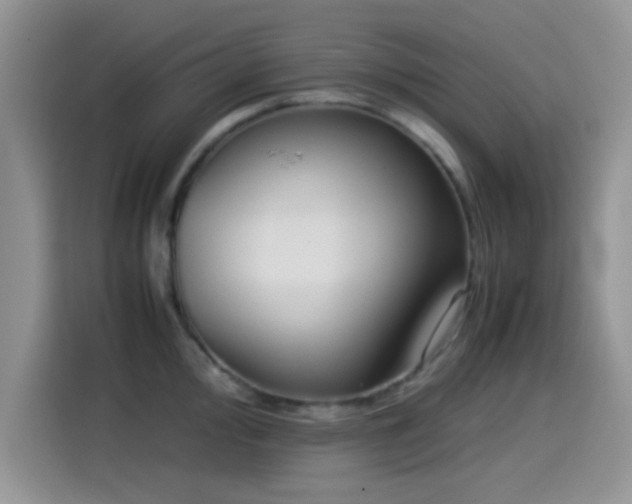 X0000115541000200911061456