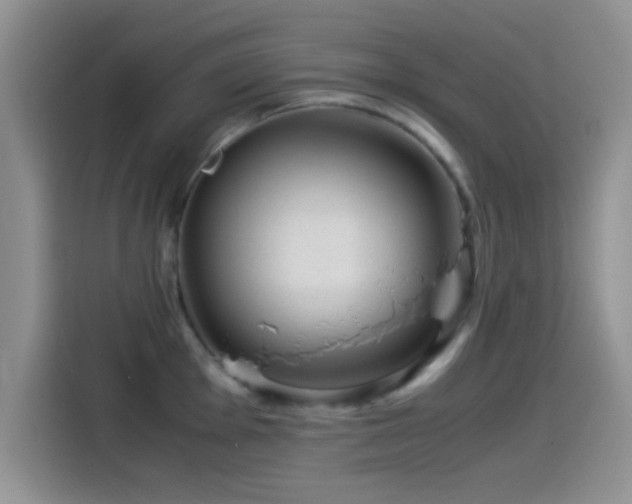 X0000115541001200911061456