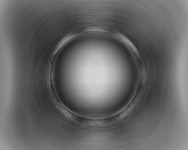 X0000115541002200911061456