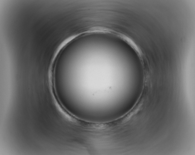 X0000115541003200911061456