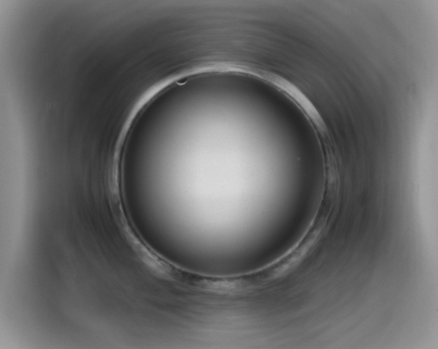 X0000115541004200911061456