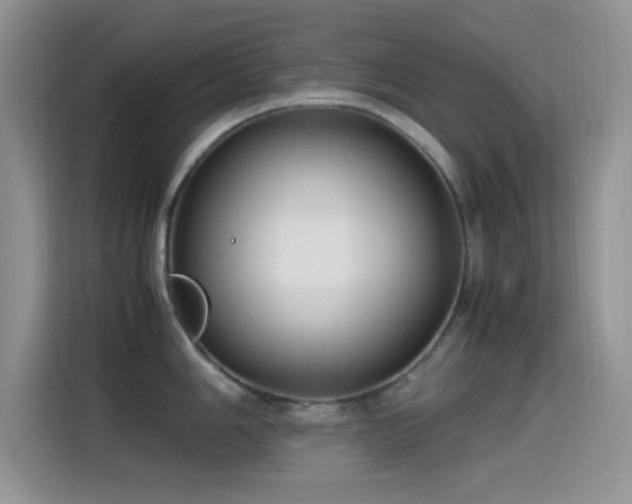 X0000115541006200911061456