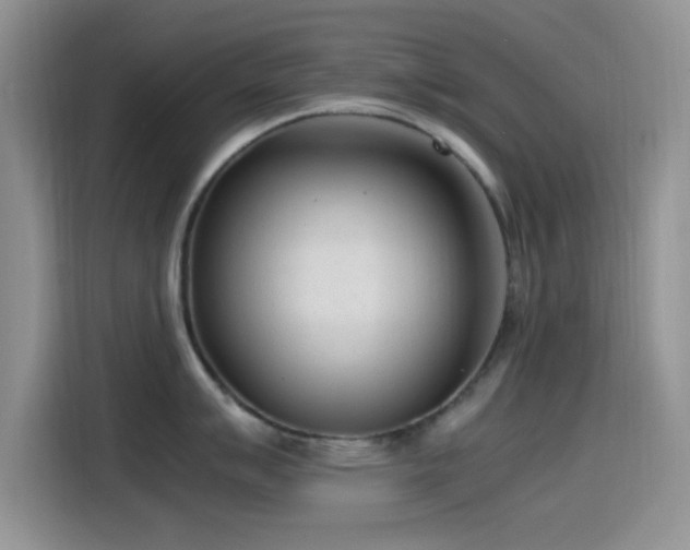 X0000115541007200911061456