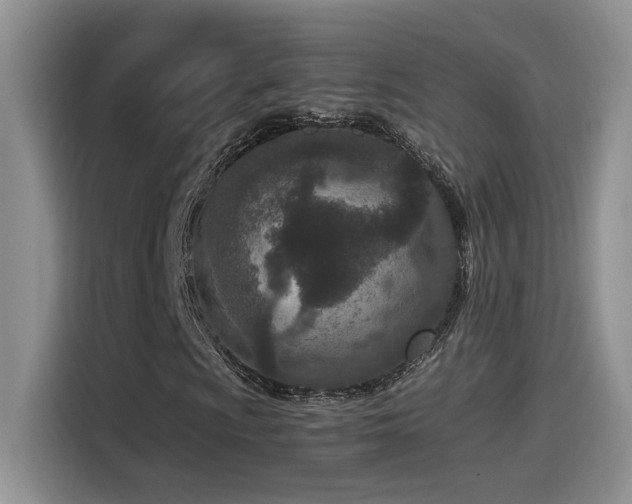 X0000115541009200911061456