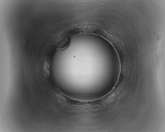 X0000115541010200911061456