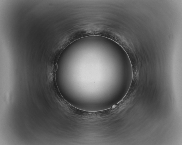 X0000115541012200911061456